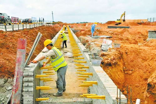 海口市譚仙農產品加工產業園一期項目進度已超40%，預計年底完工