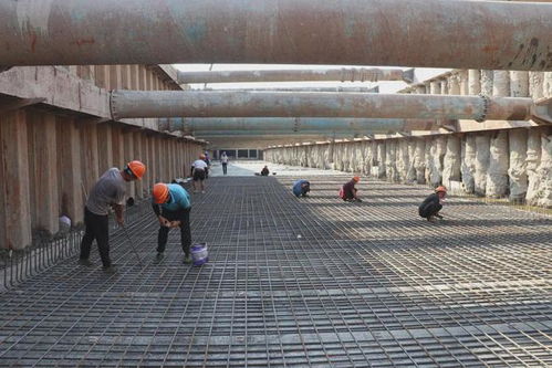 市政集團黨總支 黨建聯建聚合力，攜手共建精品民生工程